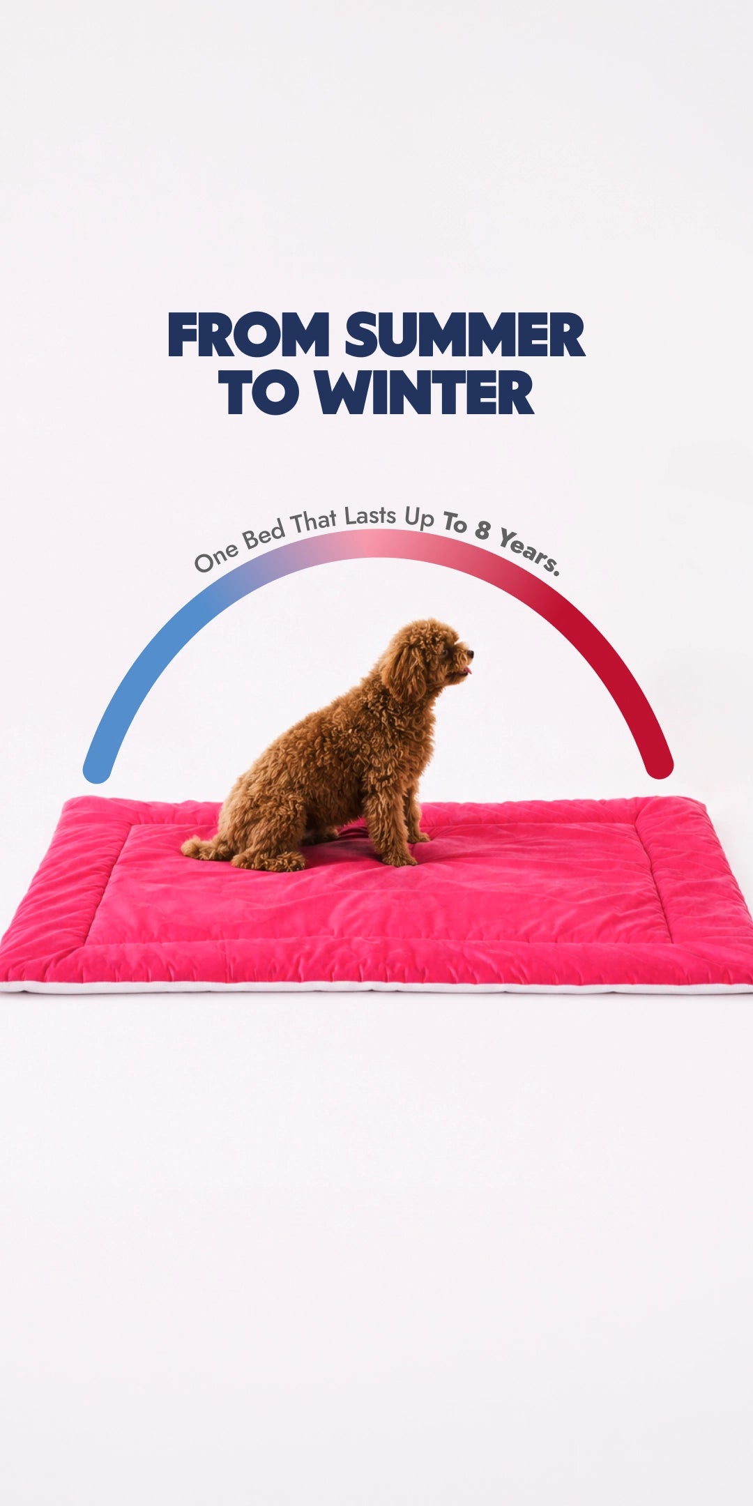 Red Bed