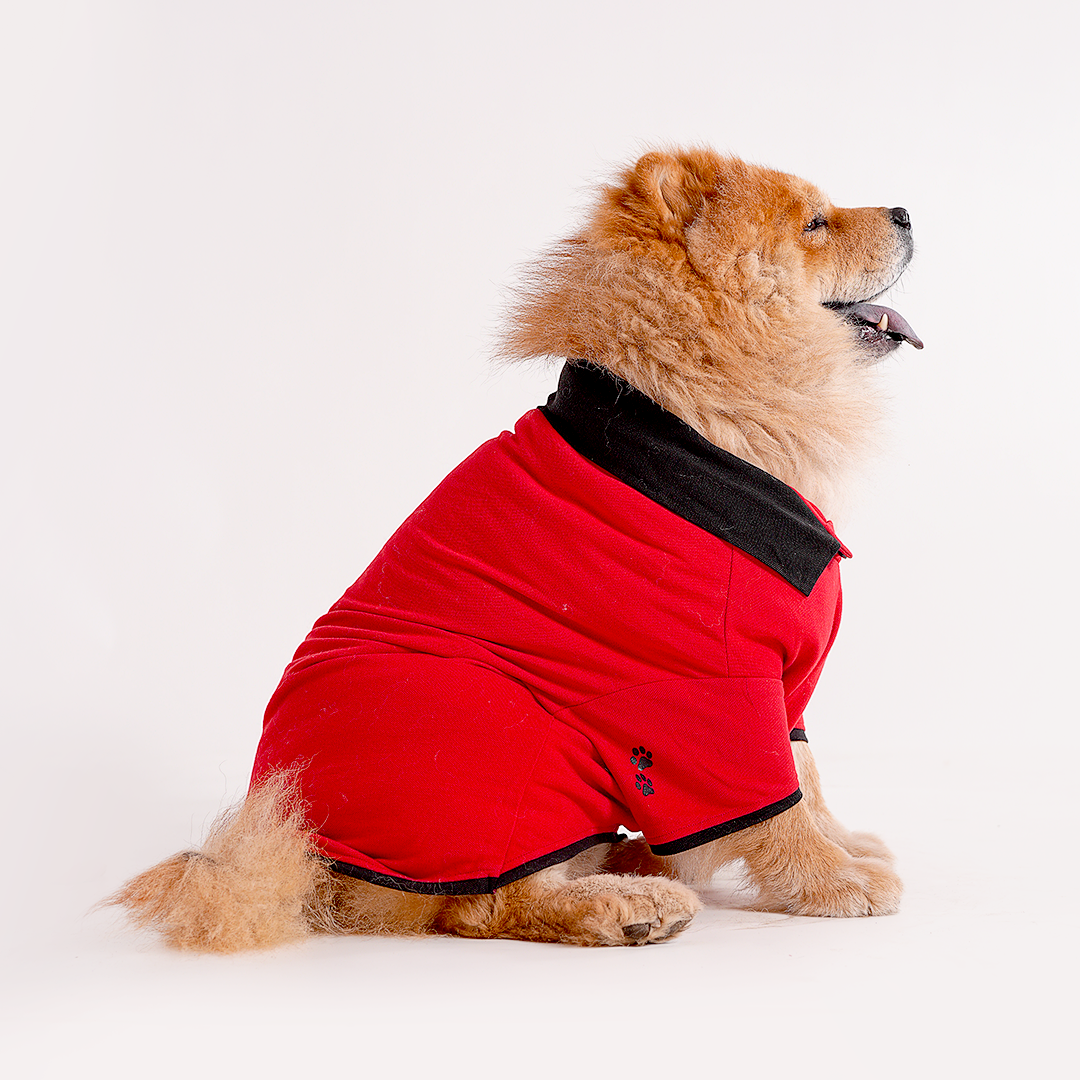 Red Polo Dog Tshirt (Black Collar)