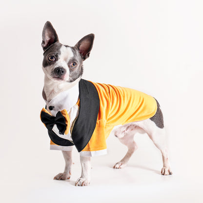 Tuxedos For Dogs - With Black/Yellow Bow Tie