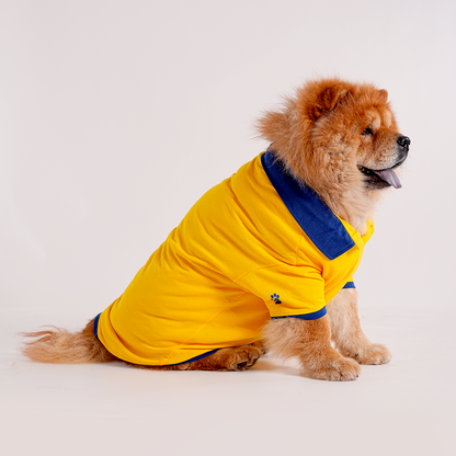 Yellow Polo Dog Tshirt (Royal Blue Collar)