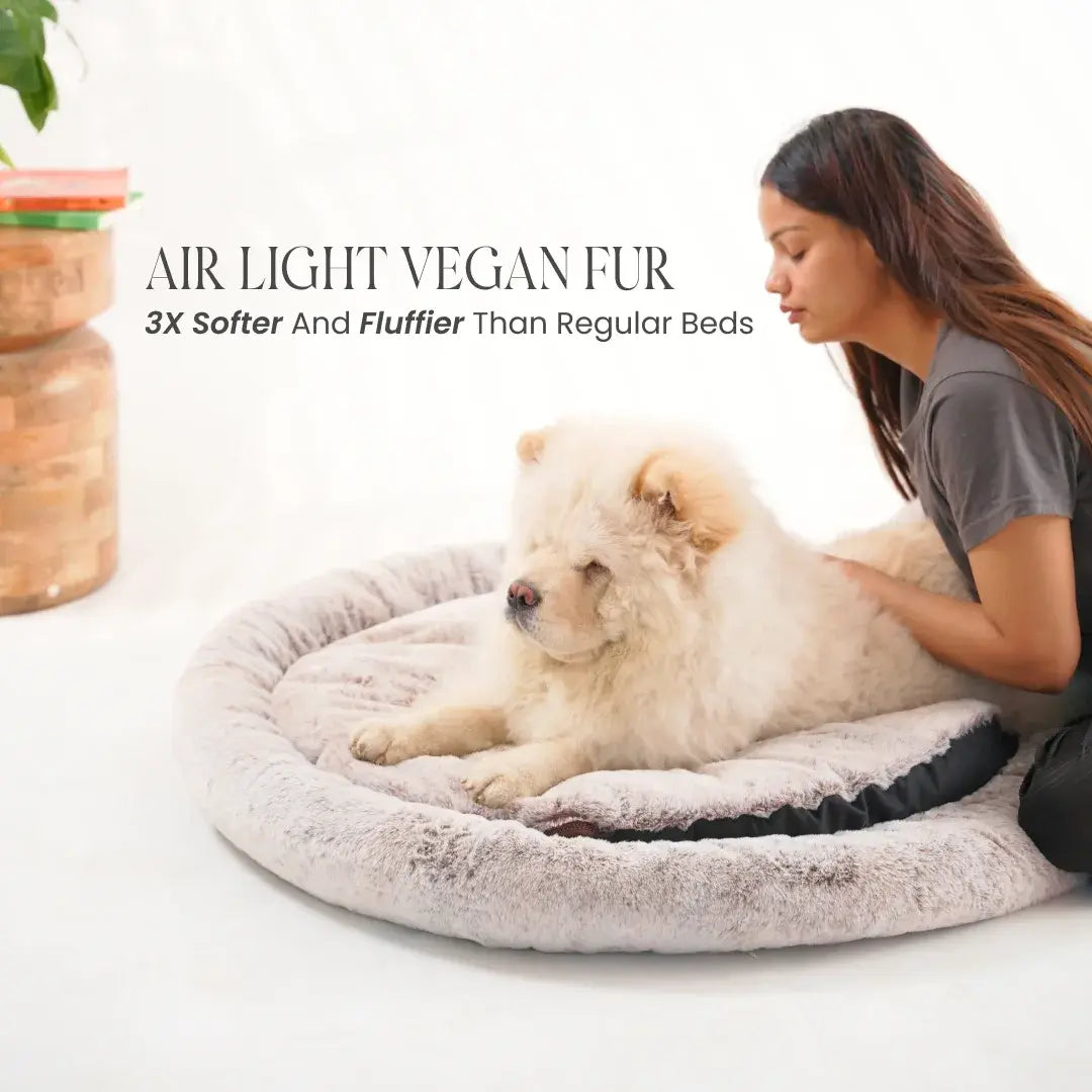 2-in-1 Temperature-Regulating Dog Bed - Desert Dune