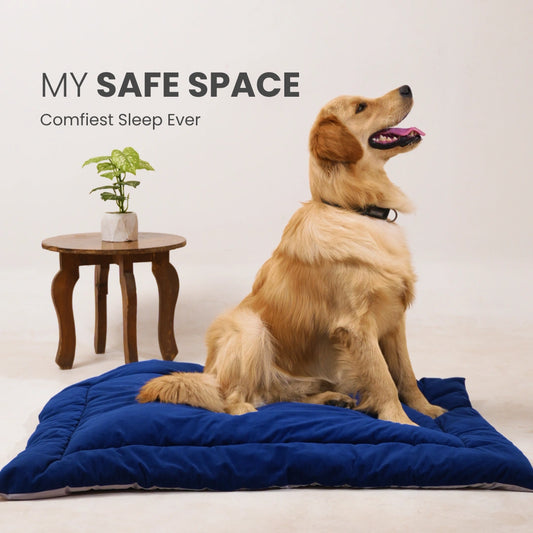 All Season Nap Bed - Royal Blue