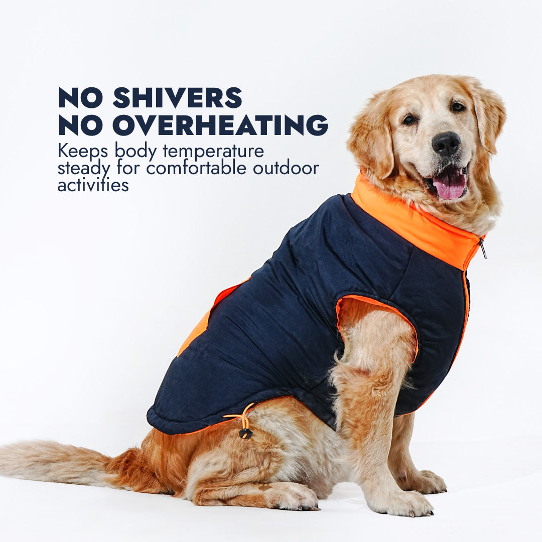 Pawfect Shield Puffer Jacket - Orange-Blue