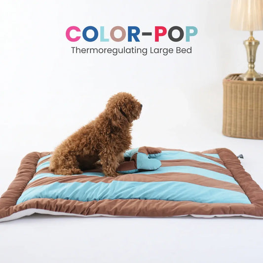 ColorTail Nap Bed - Choco Splash
