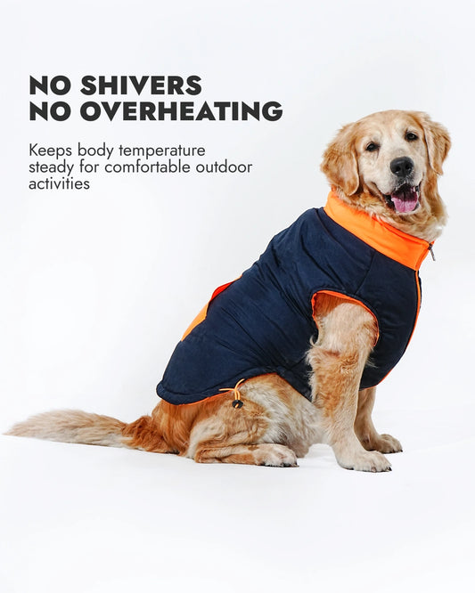 Pawfect Shield Puffer Jacket - Orange-Blue