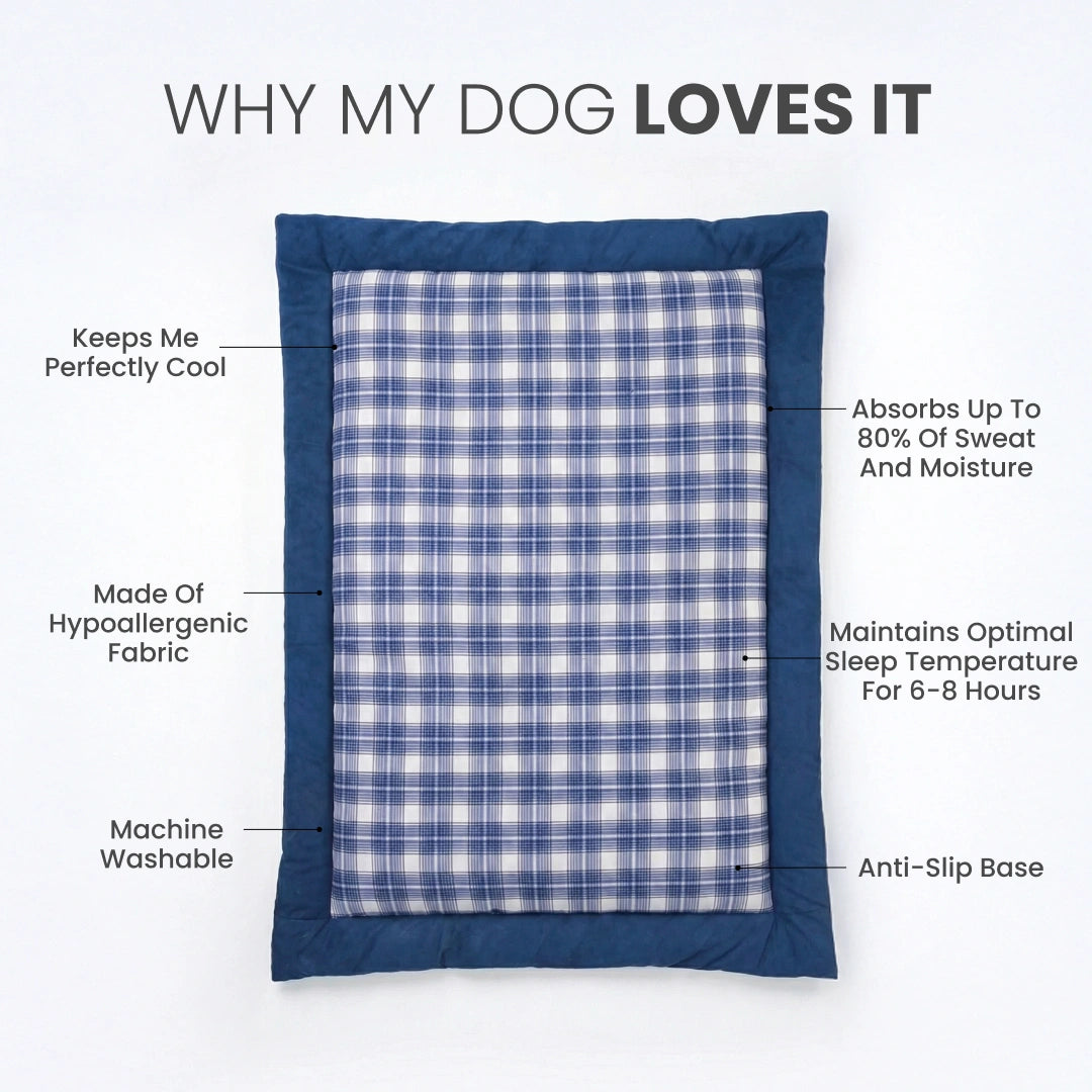 Napster Bed – Ocean Check