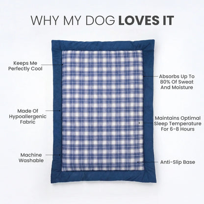 Napster Bed – Ocean Check