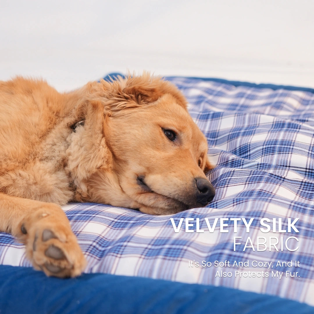 Napster Bed – Ocean Check