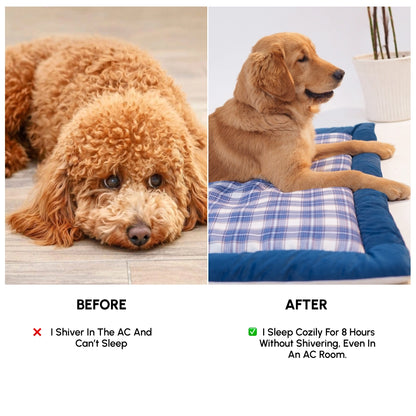 Napster Bed – Ocean Check