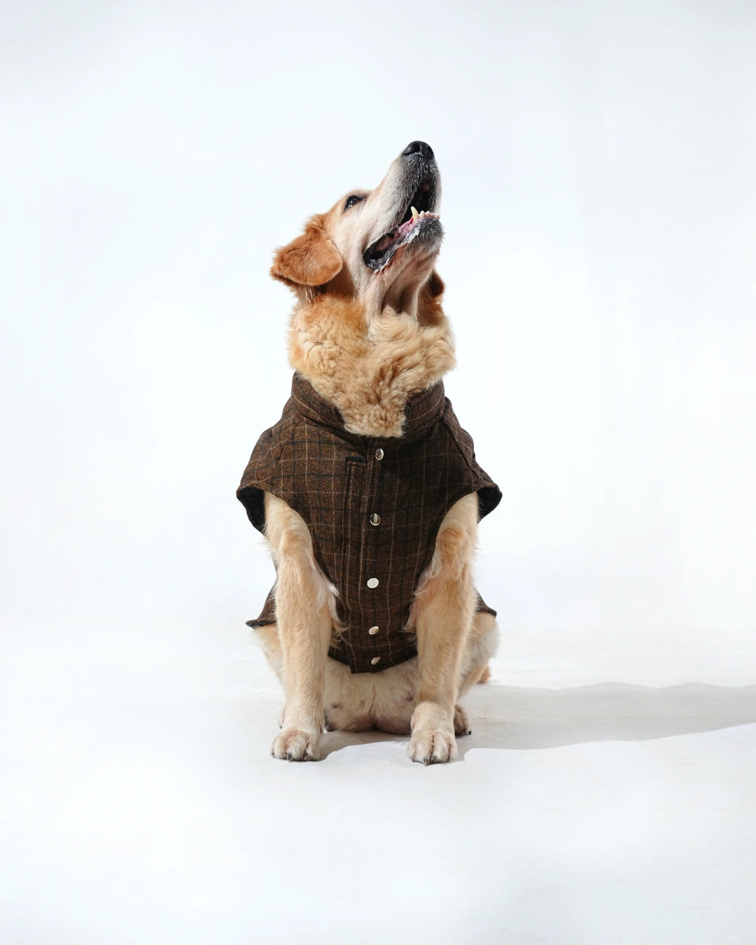 Pawfect Shield Puffer Jacket - Checkered Brown