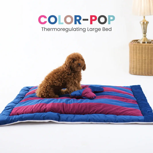 ColorTail Nap Bed - Berry Pawfect
