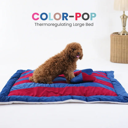 ColorTail Nap Bed - Cherry Splash