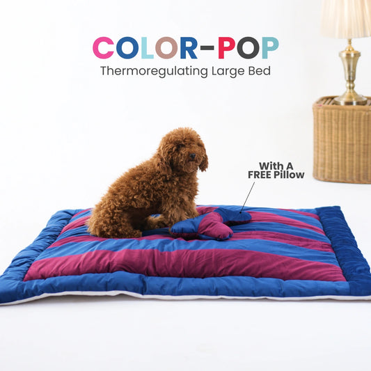 ColorTail Nap Bed - Berry Pawfect