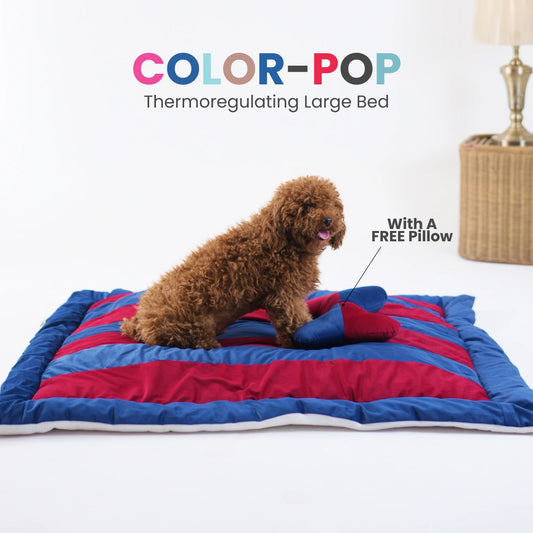 ColorTail Nap Bed - Cherry Splash