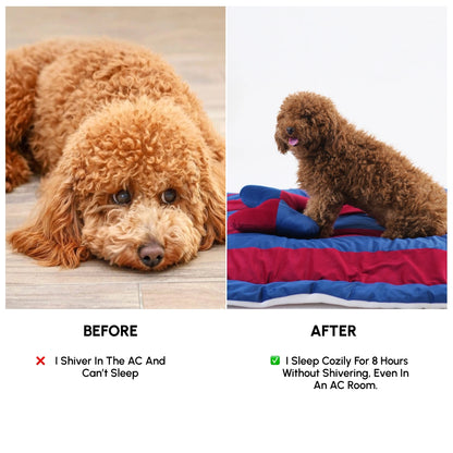 ColorTail Nap Bed - Cherry Splash