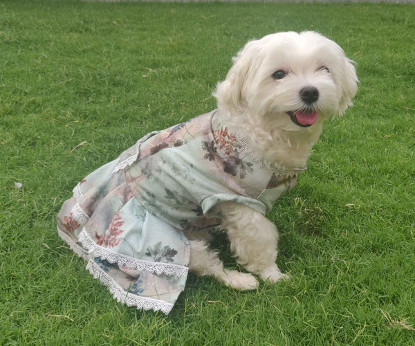 Dresses For Dogs - Floral Foxy