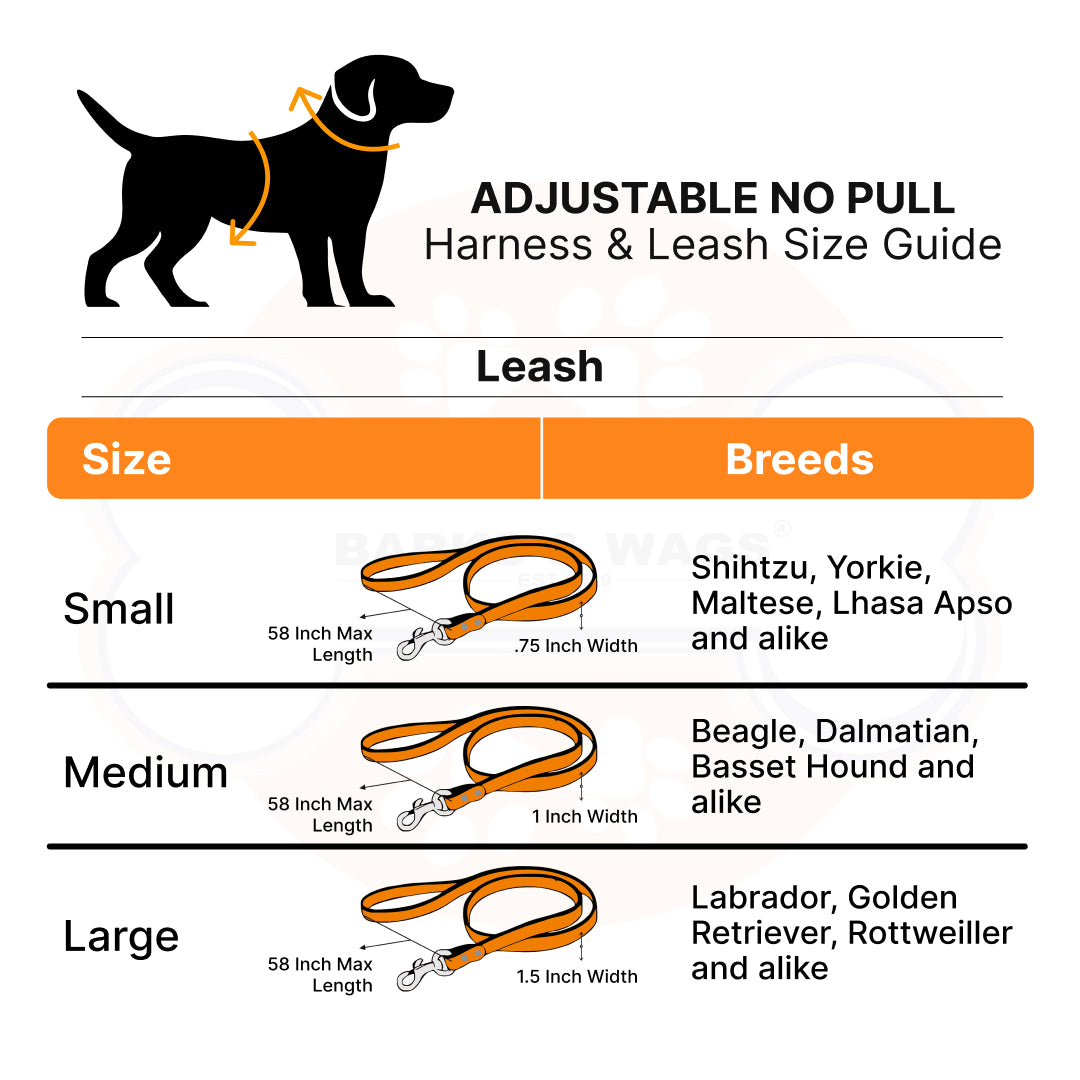 Heavy-duty harness kit for maximum comfort and zero choking- Brown & Orange Velvet