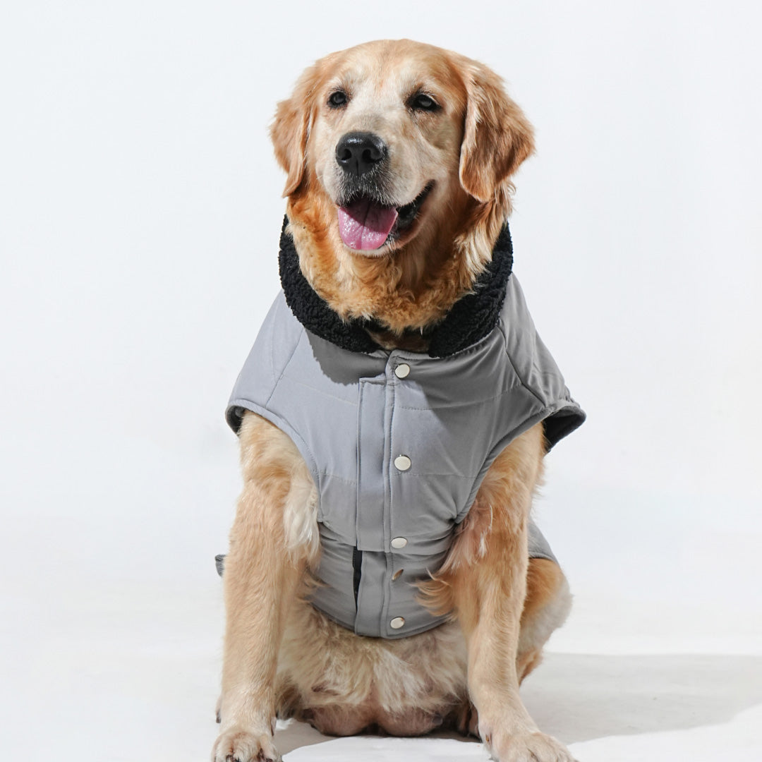 Pawfect Shield Puffer Jacket - Light Grey