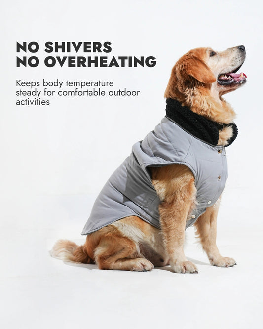 Pawfect Shield Puffer Jacket - Light Grey