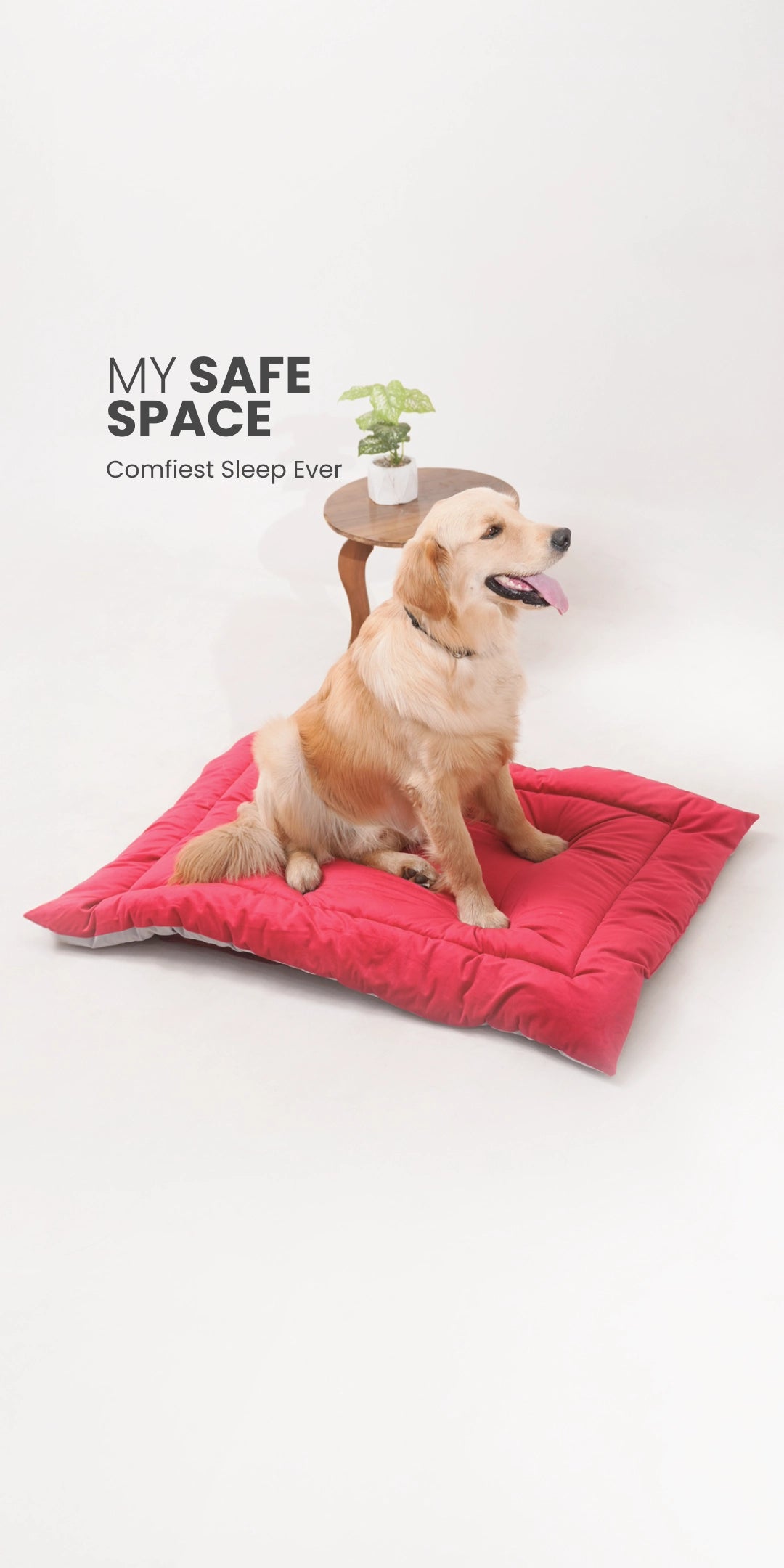 Dog sitting on a red pet bed with 'My Safe Space' branding.