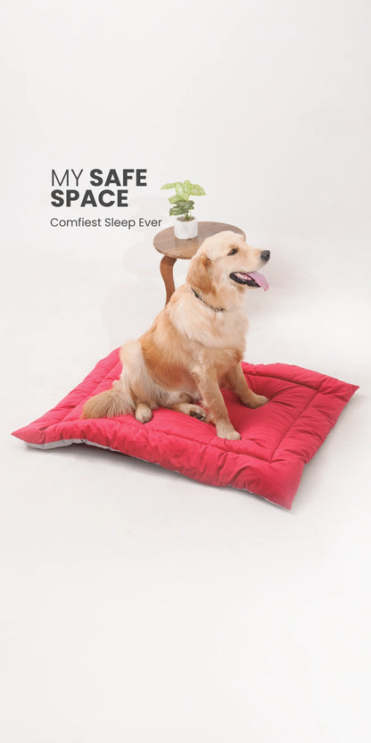 Dog sitting on a red pet bed with 'My Safe Space' branding.