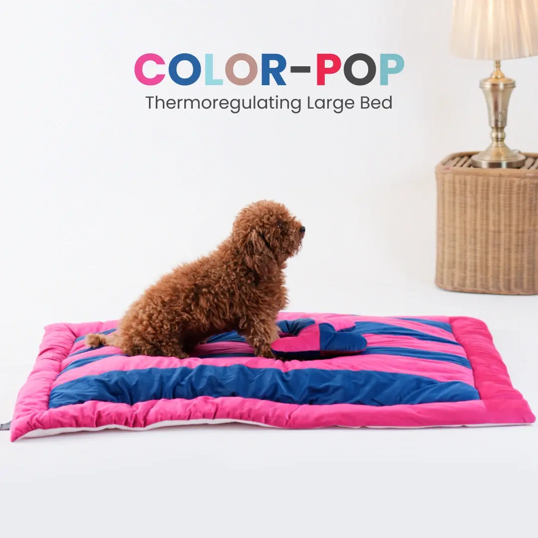 ColorTail Nap Bed - Candy Cloud