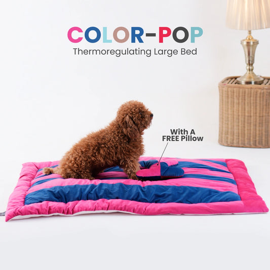 ColorTail Nap Bed - Candy Cloud