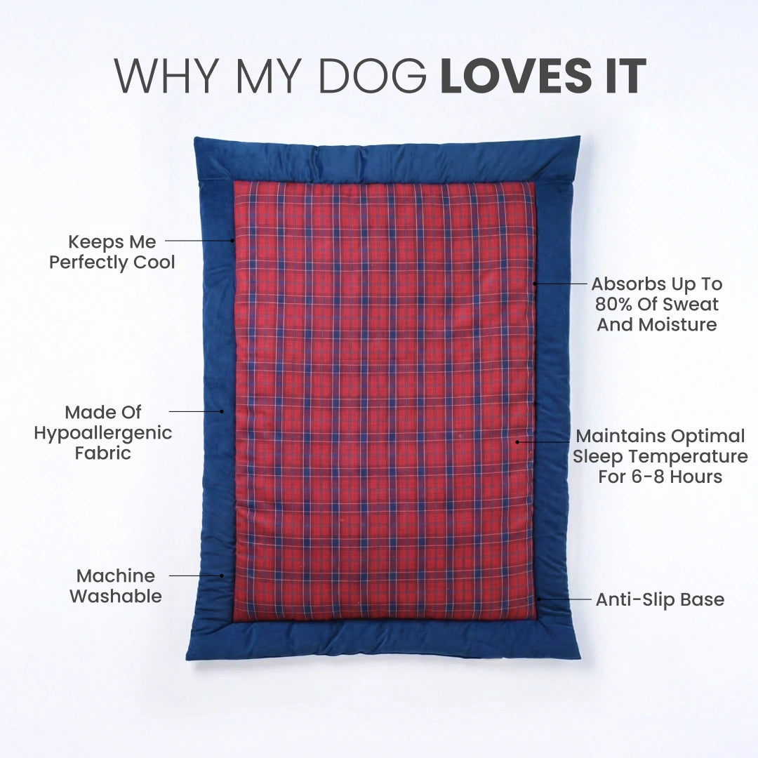 Napster Bed – Berry Grid