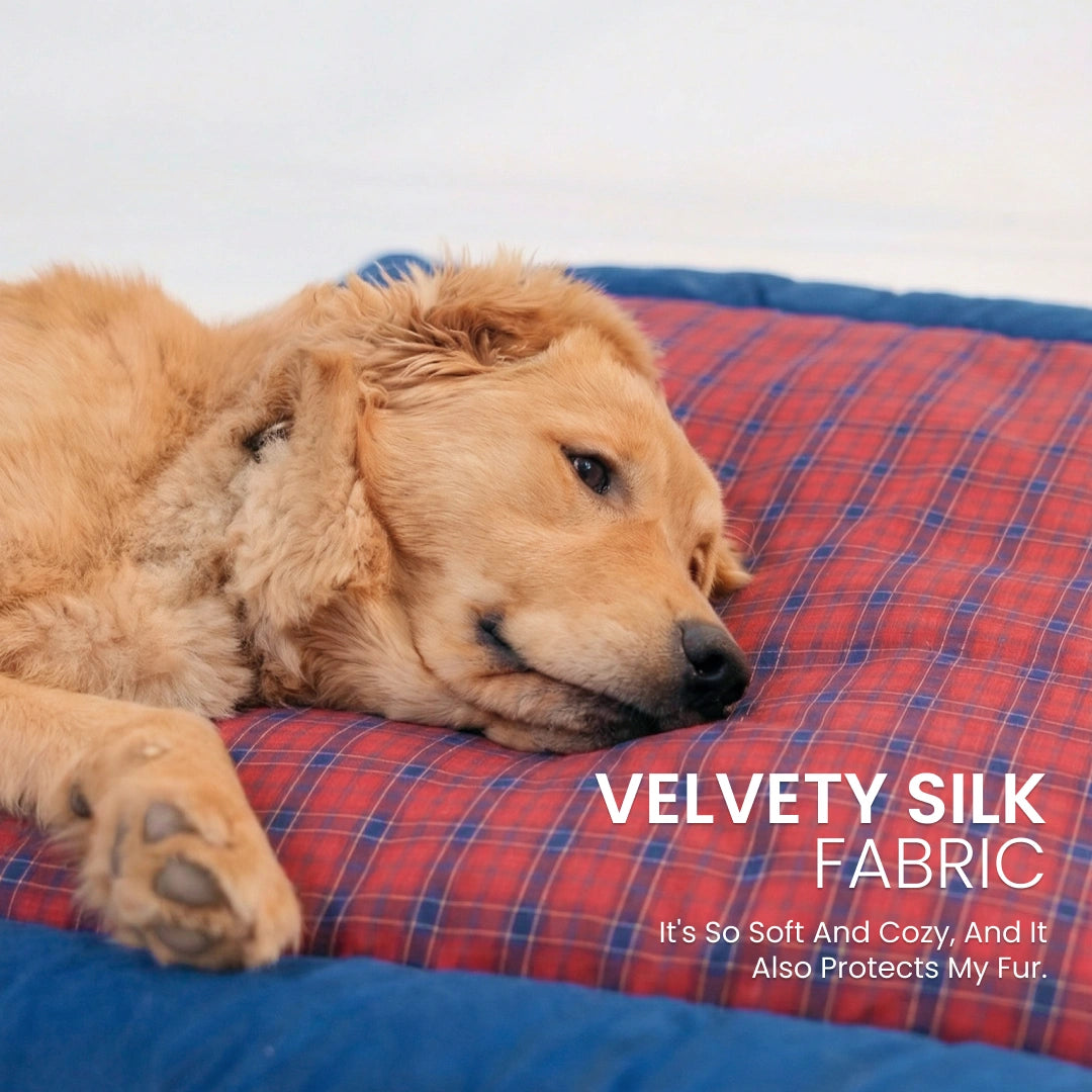 Napster Bed – Berry Grid