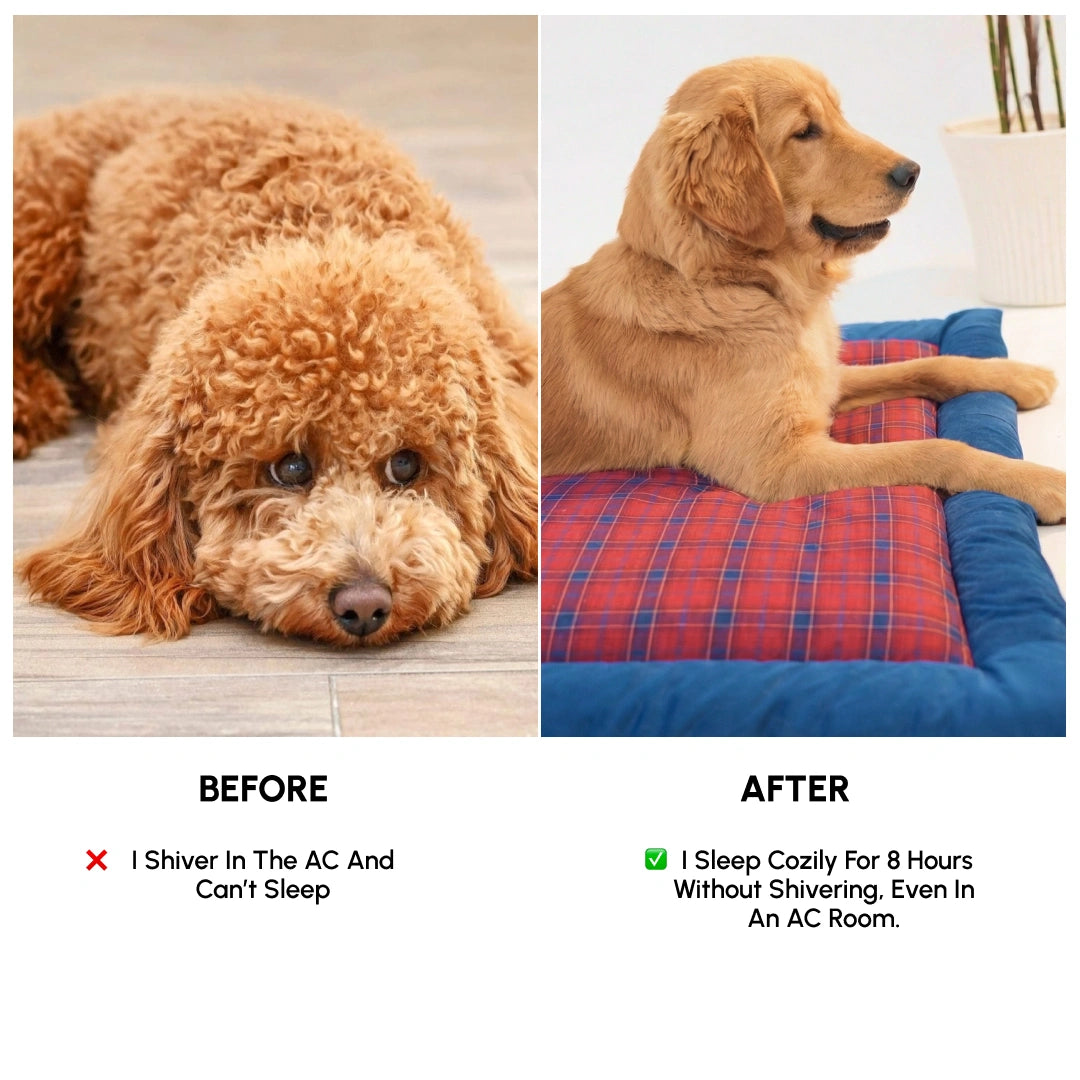 Napster Bed – Berry Grid