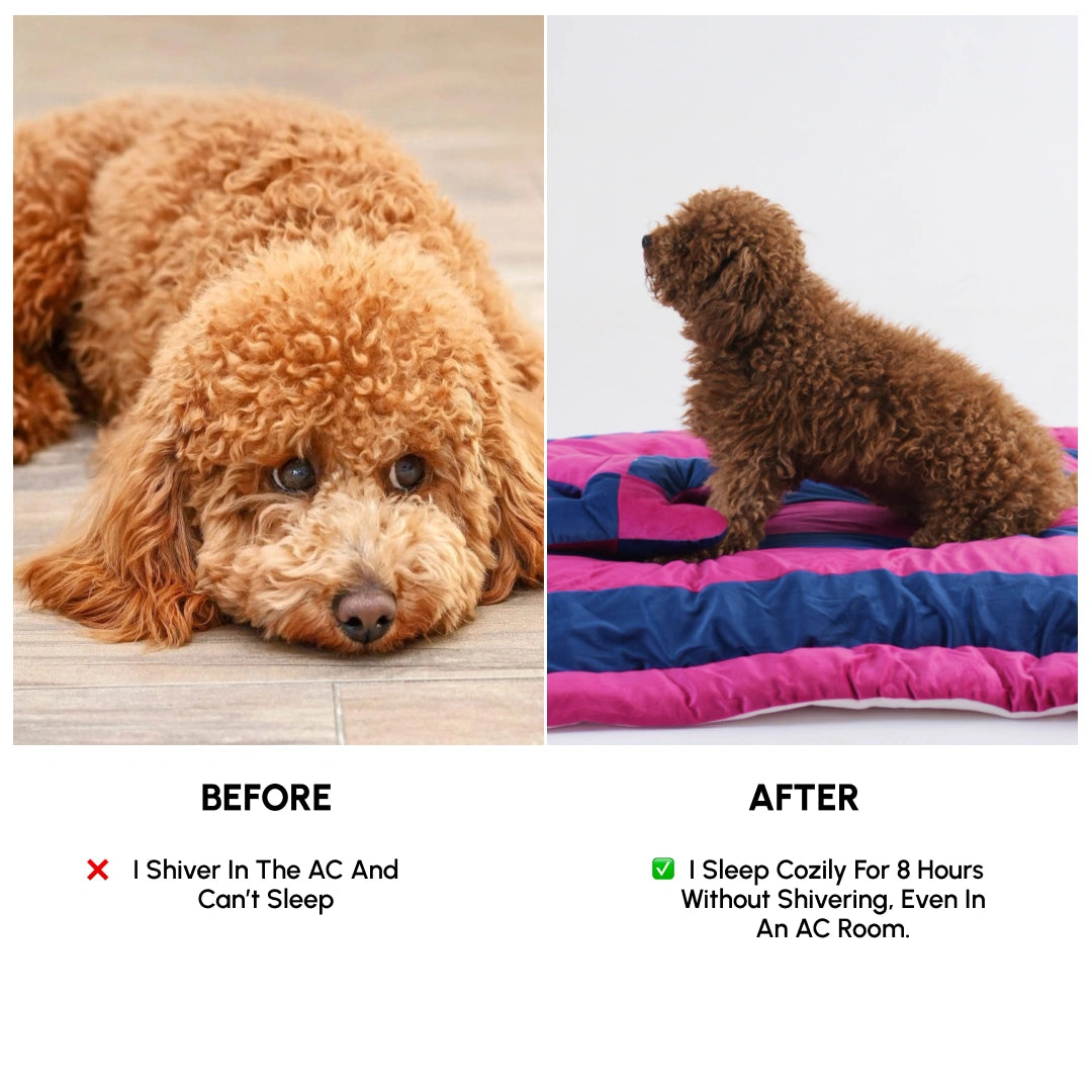 ColorTail Nap Bed - Candy Cloud