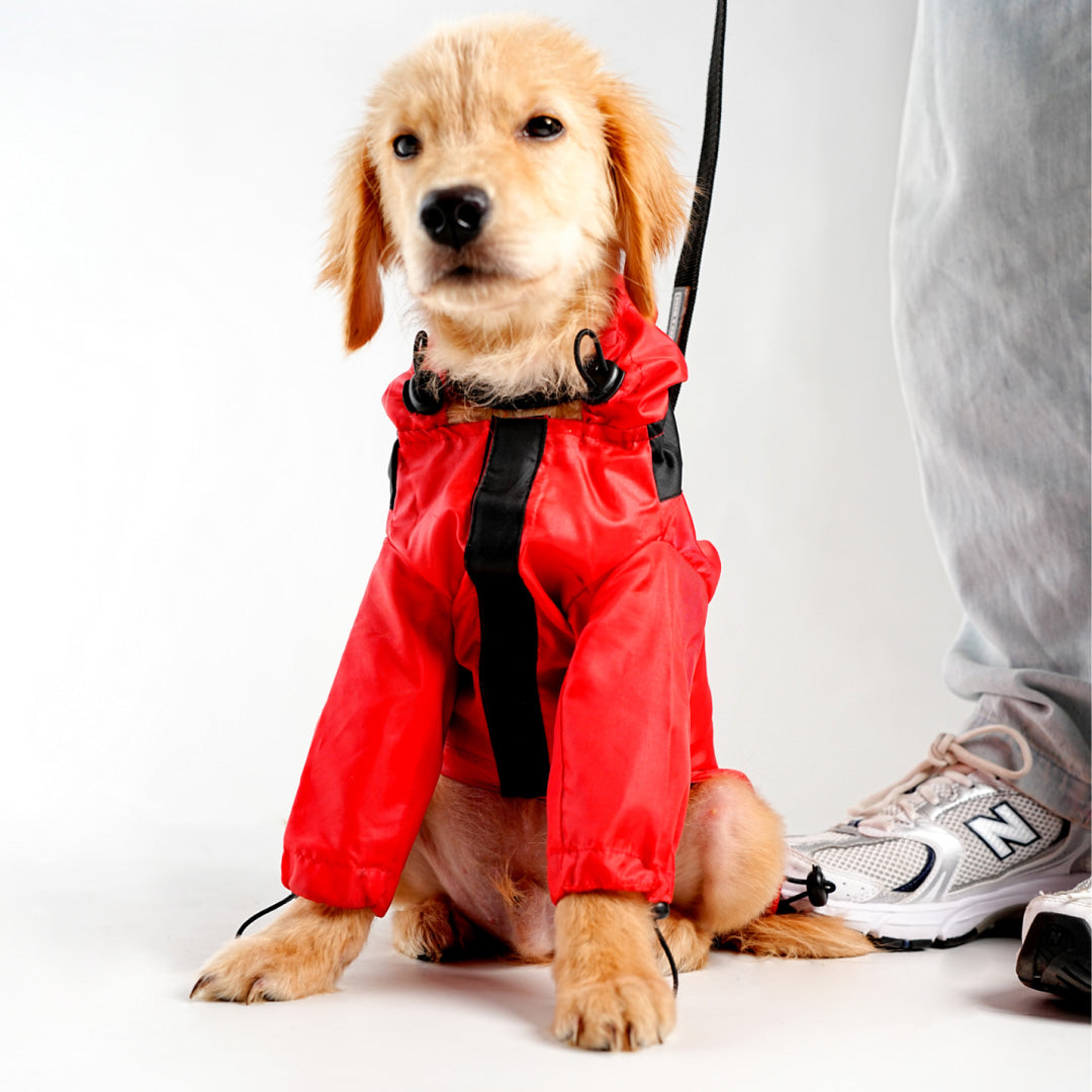 Heavy- Duty Drizzle Defense Dog Raincoat - Red