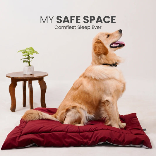 All Season Nap Bed - Burnt Maroon