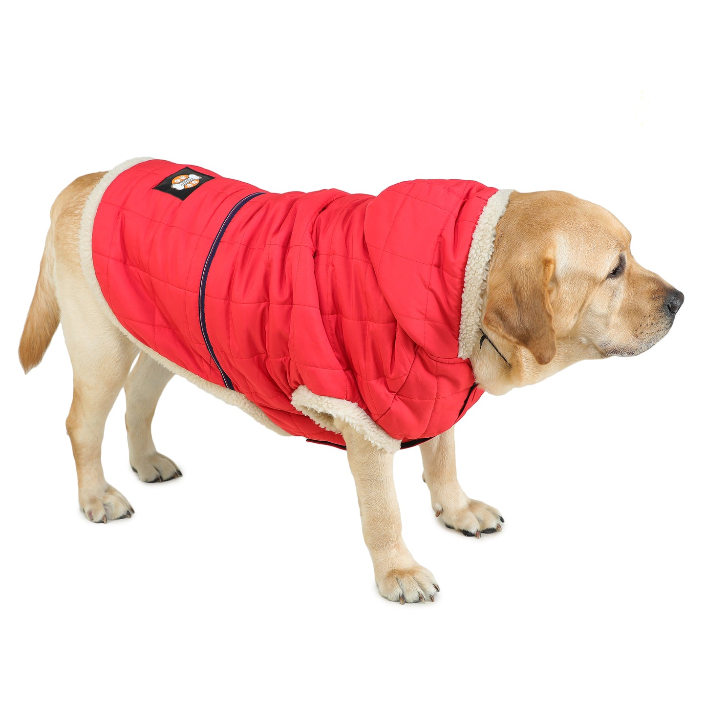 Raspberry Fur Dog Jacket