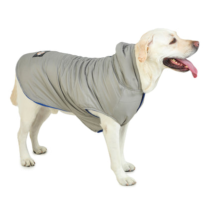 Micro Grey Dog Jacket