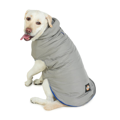 Micro Grey Dog Jacket
