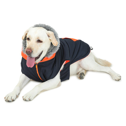 Navy/Orange Dog Jacket With Zipper