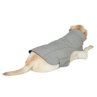 Dog Jacket (Grey Micro Padded)