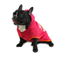 Dog Hoodie (Did Someone Say Tacos?)