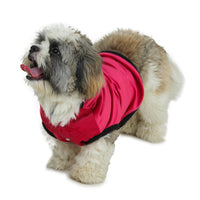 Dog Hoodie (Red Velvet  With Fur)