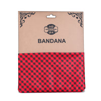 Red Tartan Twinning Bow & Bandana Set