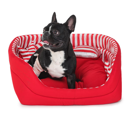 Dog Bed (Red & Blue Strips Sofa)