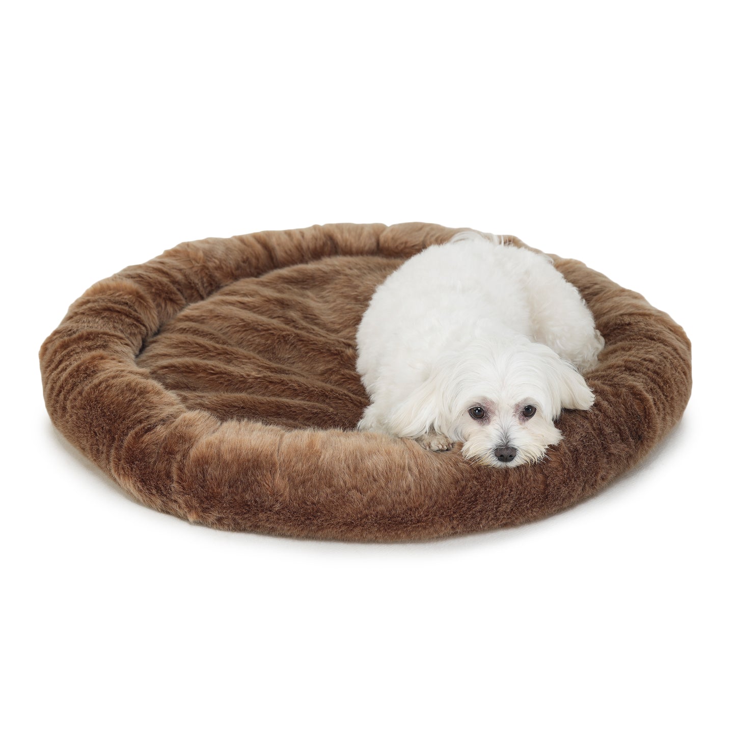 Dog Bed (Chocolate Donut)