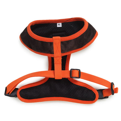 backside of harness and leash for dogs