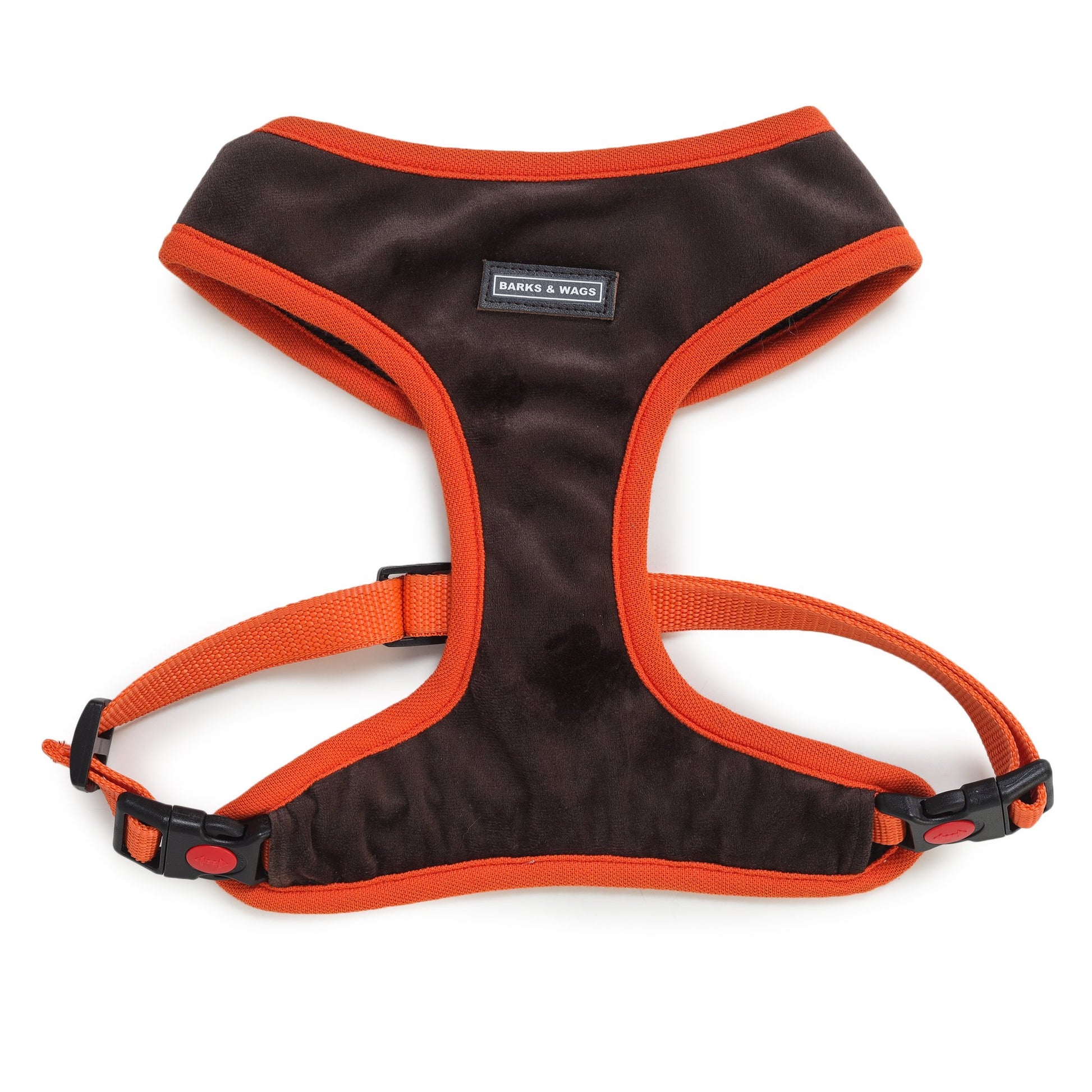 front side of harness and leash for dogs