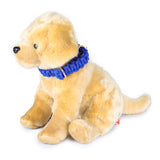 cute dog wearing macramé square knot leash and collar