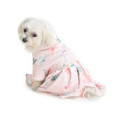 cute dog wearing pink dress by Barks & Wags