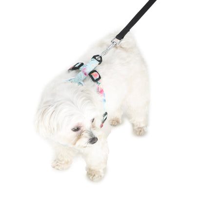 dog harness from Barks & Wags