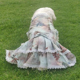 dog wearing dress designed by Barks & Wags