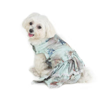 dog wearing floral foxy dress designed by Barks & Wags